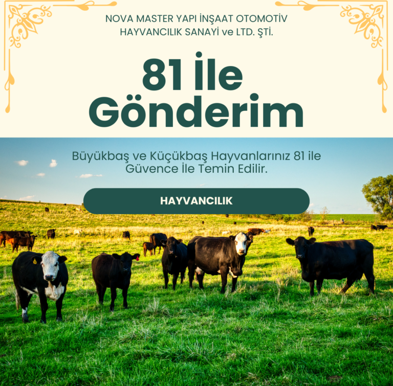 Cream Green Bold Modern Livestock Promotion Flyer